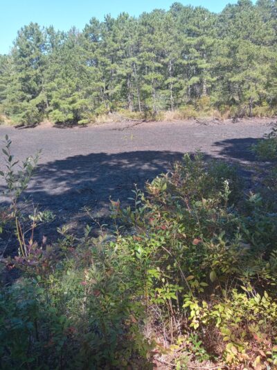 Summit Park - Manchester Township, NJ