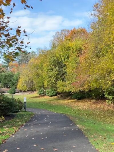 Flower Hill Village Park - Manhasset, NY