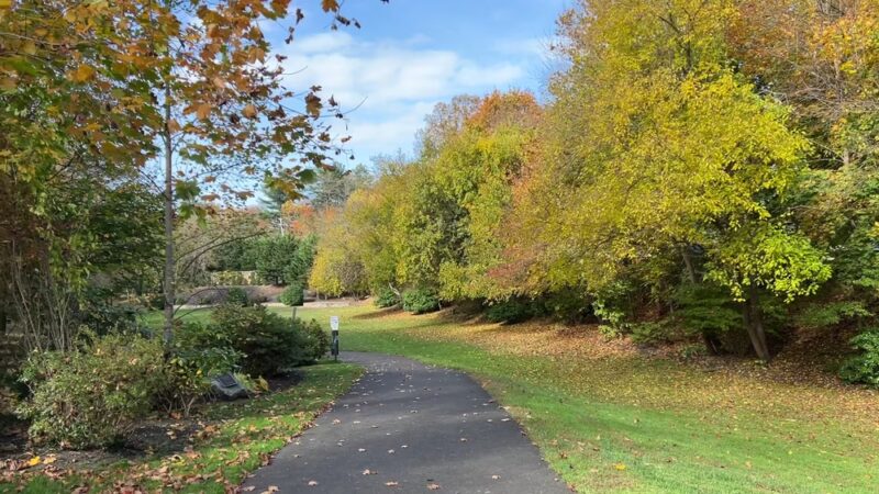 Flower Hill Village Park - Manhasset, NY