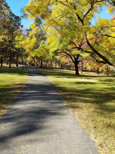 Manhasset Valley Park - Manhasset, NY