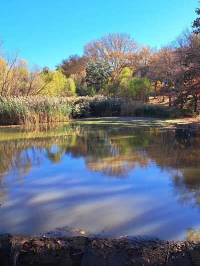Manhasset Valley Park - Manhasset, NY
