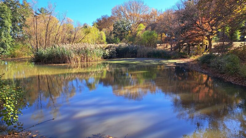 Manhasset Valley Park - Manhasset, NY