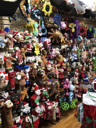 Pets Boutique - Manhasset, NY