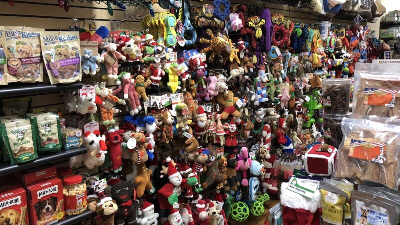 Pets Boutique - Manhasset, NY