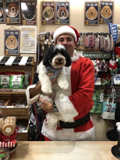 Pets Boutique - Manhasset, NY