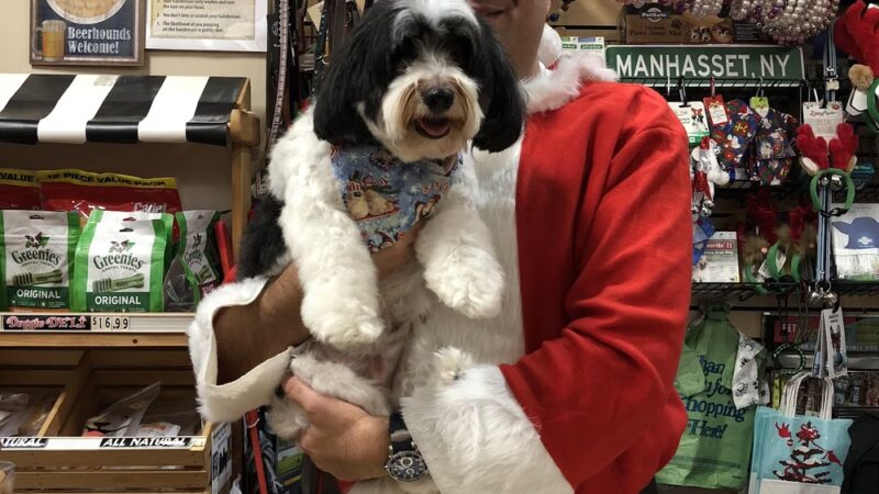 Pets Boutique - Manhasset, NY