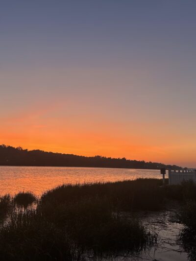 Plandome Heights Village Preserve - Manhasset, NY