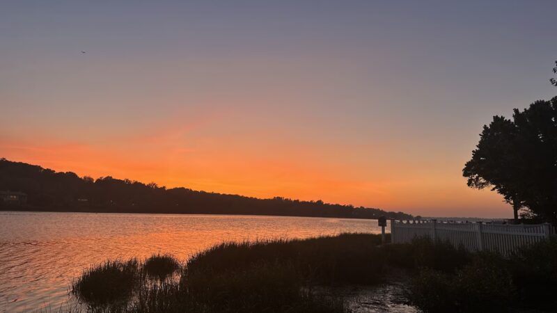 Plandome Heights Village Preserve - Manhasset, NY