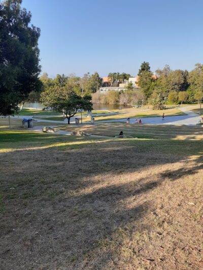 Polliwog Park Dog Park - Manhattan Beach, CA