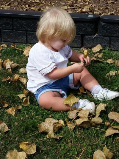 Manhattan Park District - Manhattan, IL