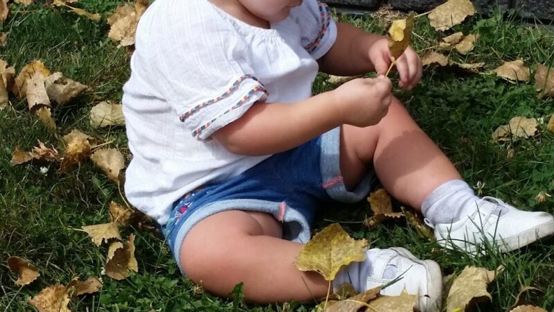 Manhattan Park District - Manhattan, IL