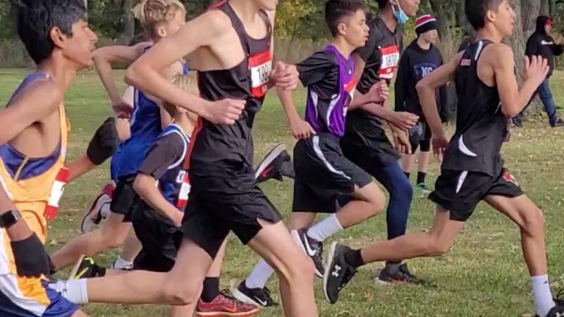 Round Barn Farm Park - Manhattan, IL