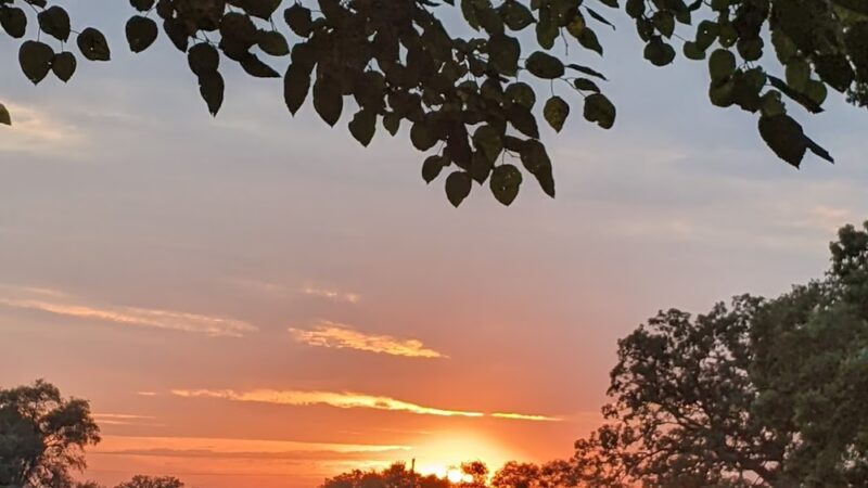 Round Barn Farm Park - Manhattan, IL