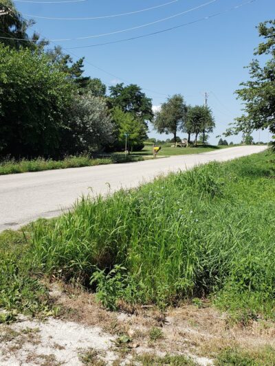 Wauponsee Glacial Trail - Manhattan Road Access - Manhattan, IL