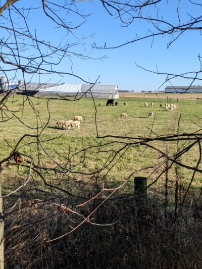 End of Lancaster Junction Rail Trail - Manheim, PA