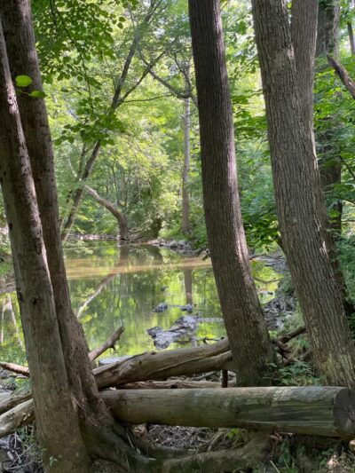 Lancaster County Junction Recreation Trail - Manheim, PA