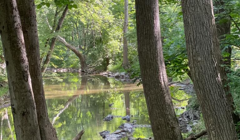 Lancaster County Junction Recreation Trail - Manheim, PA