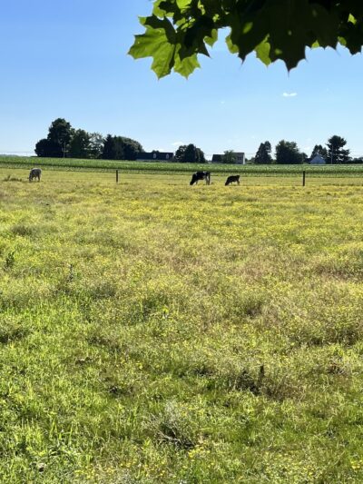 Lancaster County Junction Recreation Trail - Manheim, PA