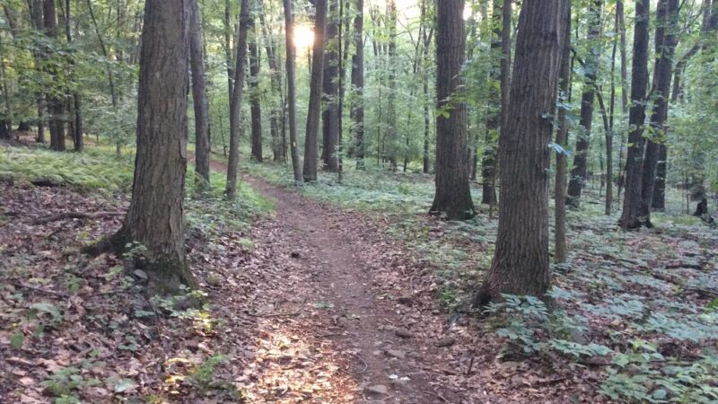 Trail Head for Governor Dick - Manheim, PA