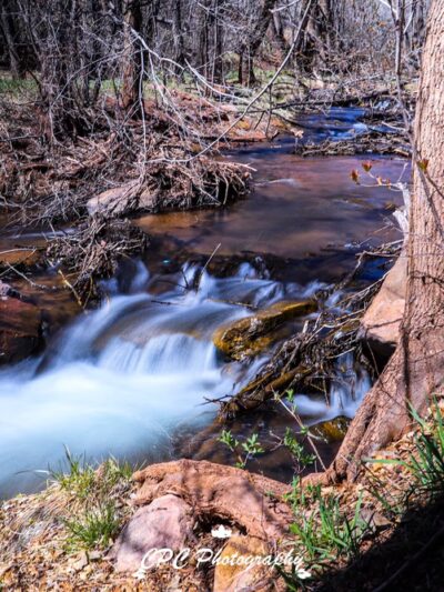 Fields Park - Manitou Springs, CO