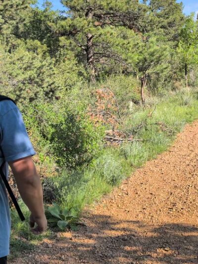 Red Mountain Trail - Manitou Springs, CO