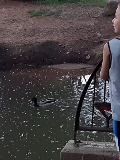 Schryver Park - Manitou Springs, CO
