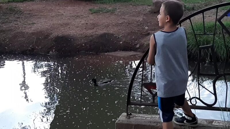 Schryver Park - Manitou Springs, CO