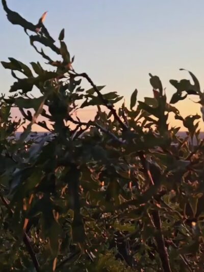 Section 16 Trailhead - Manitou Springs, CO