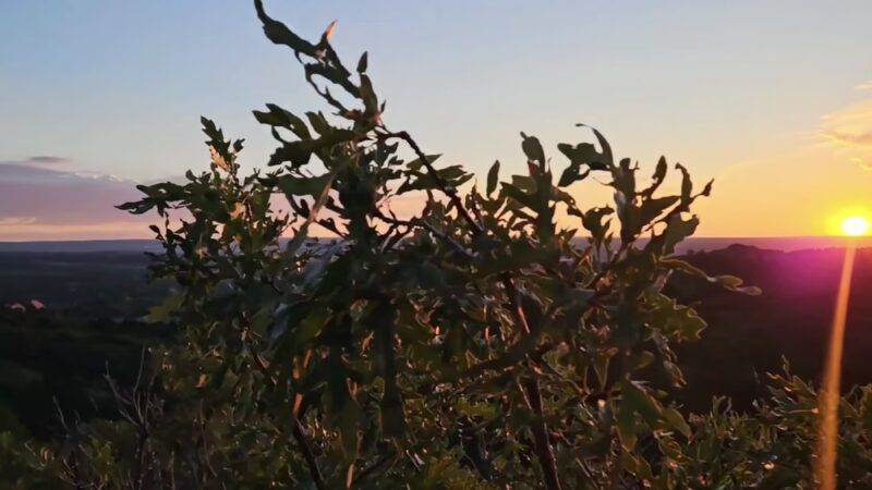 Section 16 Trailhead - Manitou Springs, CO