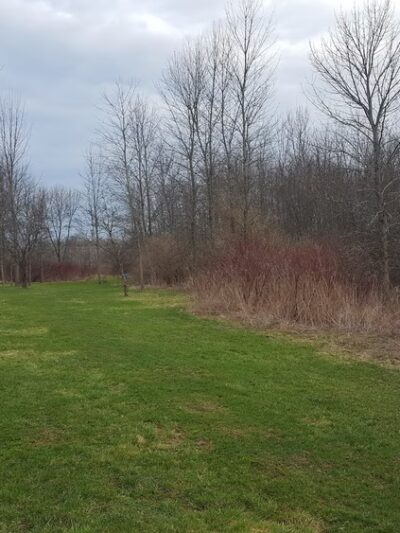 Indian Creek Disc Golf And Dog Park - Manitowoc, WI