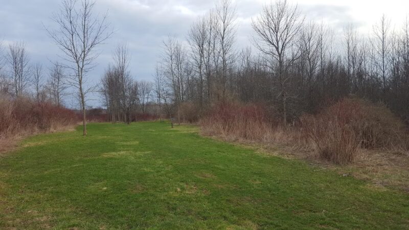 Indian Creek Disc Golf And Dog Park - Manitowoc, WI