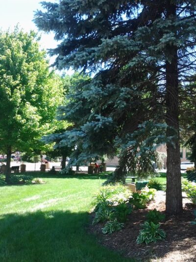 Jackson Street Park - Mankato, MN