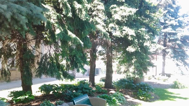 Jackson Street Park - Mankato, MN