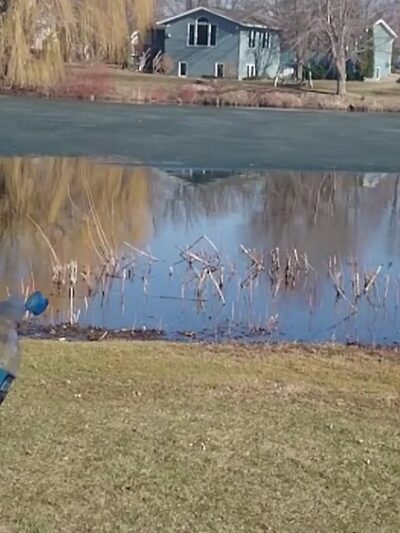 Lion’s Park - Mankato, MN