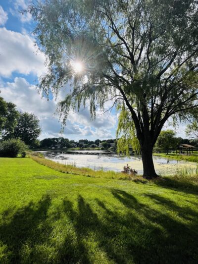 Lion’s Park - Mankato, MN