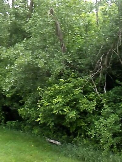 Riverfront Park - Mankato, MN