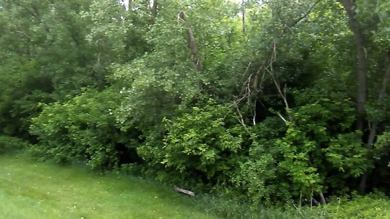 Riverfront Park - Mankato, MN