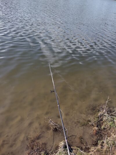 Sanger Pit - Mankato, MN