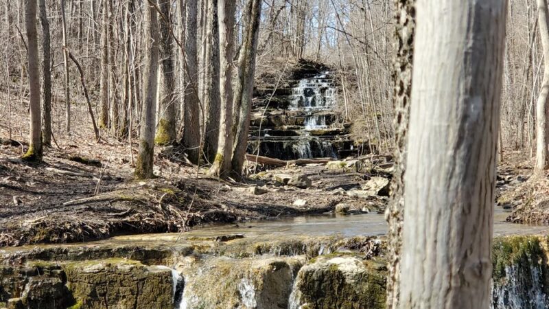 CNY Land Trust, Three Falls Woods, parking - Manlius, NY