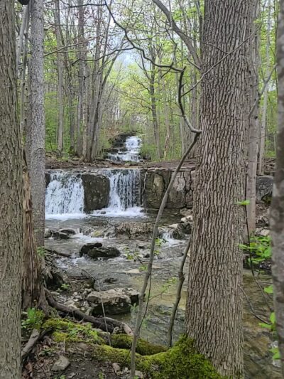 CNY Land Trust, Three Falls Woods, parking - Manlius, NY