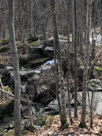 CNY Land Trust, Three Falls Woods, parking - Manlius, NY