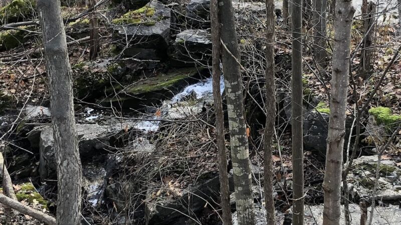 CNY Land Trust, Three Falls Woods, parking - Manlius, NY
