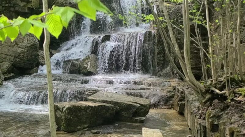 CNY Land Trust, Three Falls Woods, parking - Manlius, NY