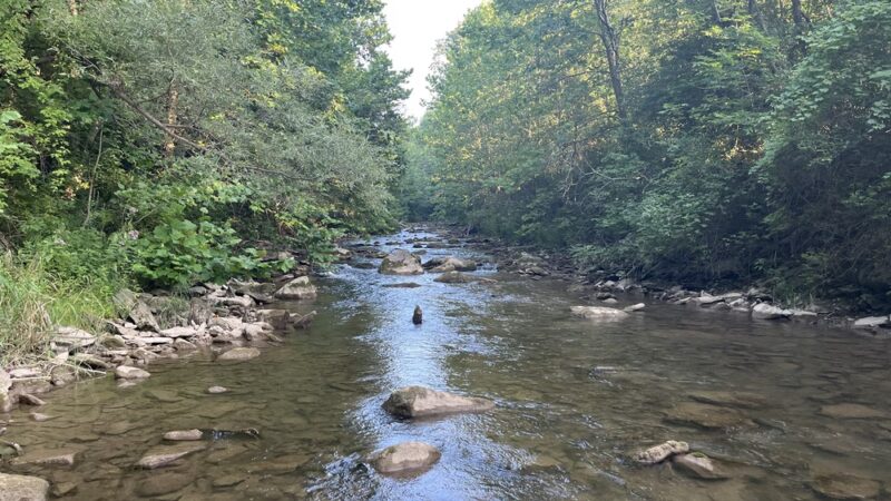 Mill Run Park - Manlius, NY
