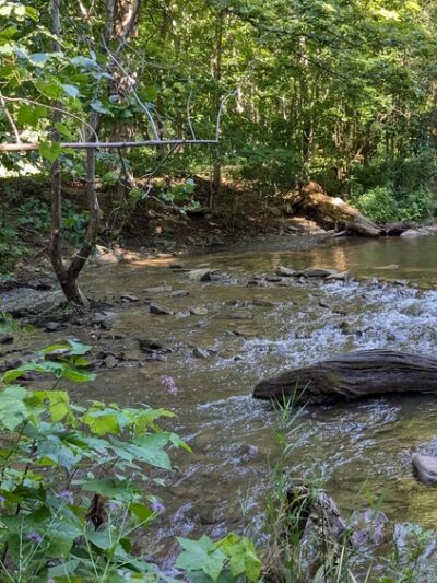 Mill Run Park Whorrall Pavillion - Manlius, NY