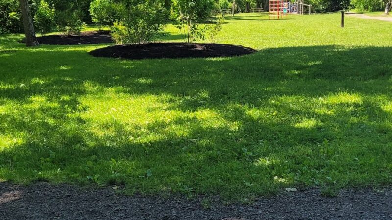 Mill Run Park Whorrall Pavillion - Manlius, NY