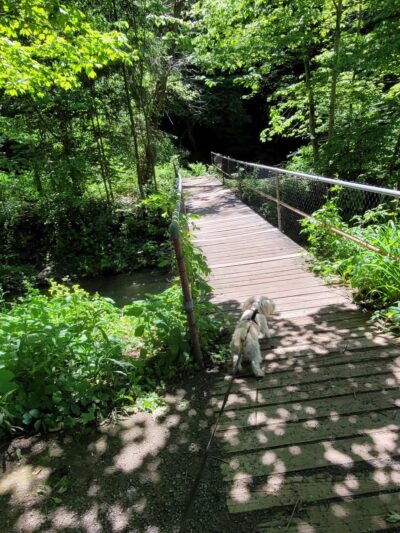 Mill Run Park Whorrall Pavillion - Manlius, NY