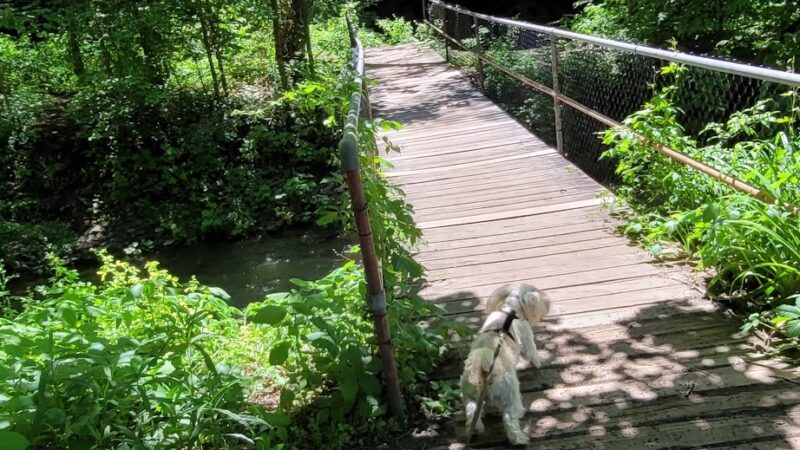 Mill Run Park Whorrall Pavillion - Manlius, NY
