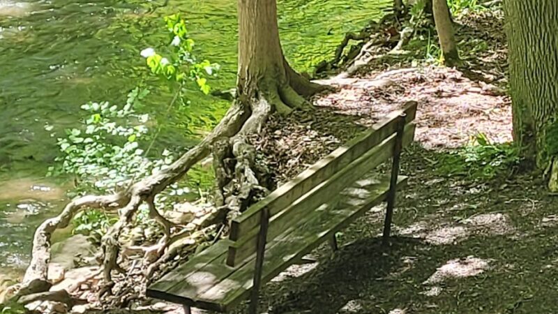 Mill Run Park Whorrall Pavillion - Manlius, NY