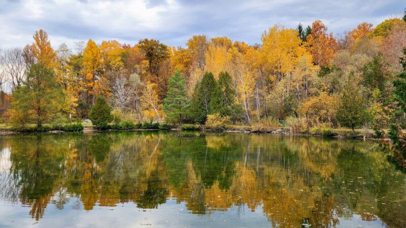 Perry Springs Park and Fish Hatchery - Manlius, NY